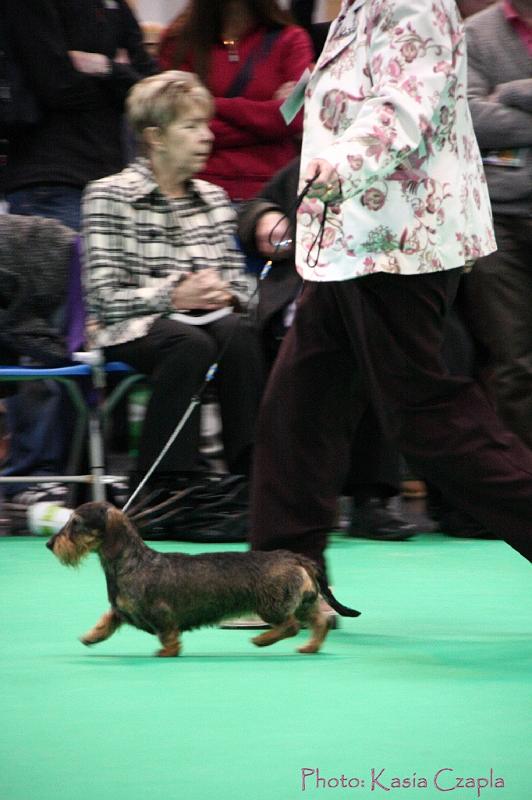 Crufts2011_2 1615.jpg